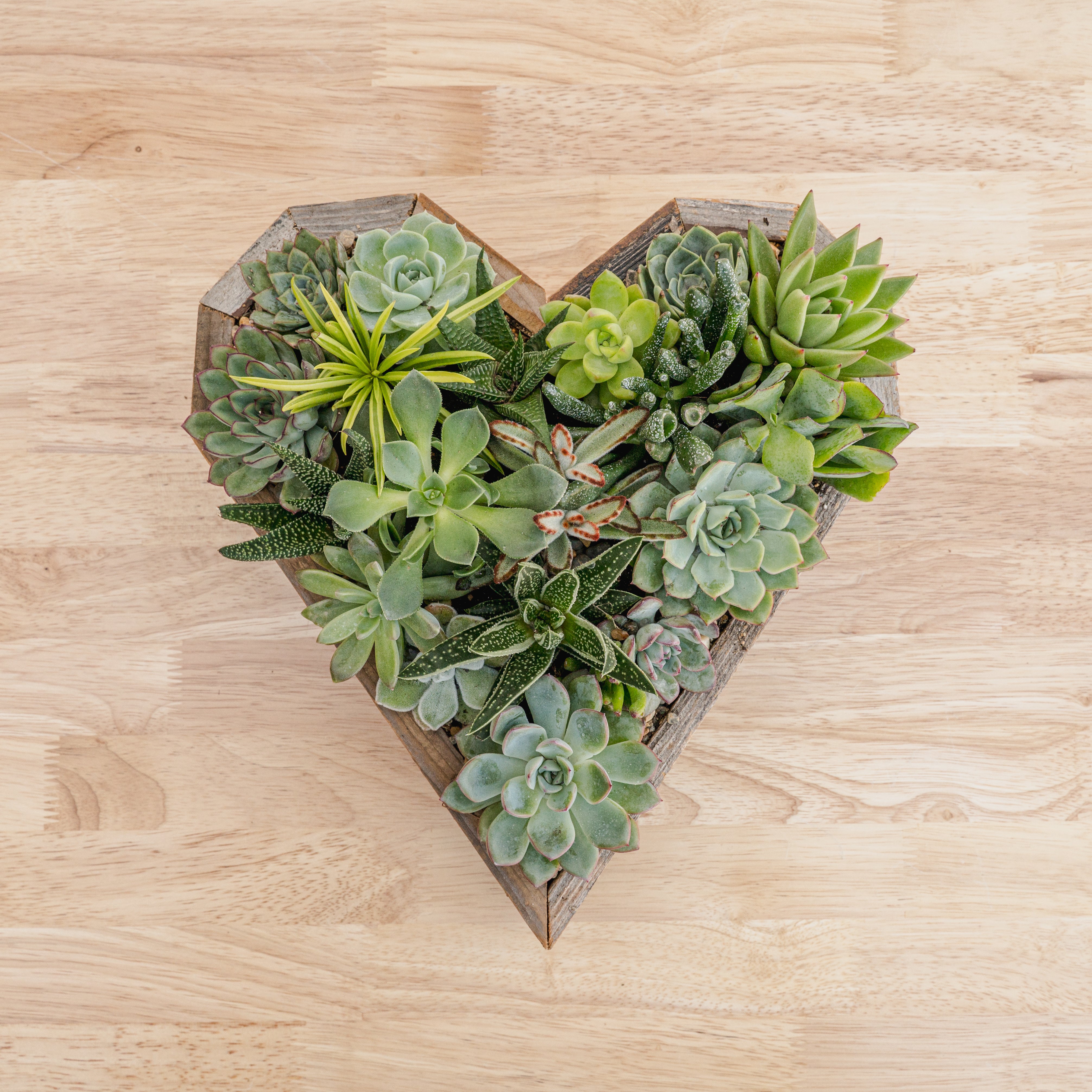 heart succulent planter Wooden Heart Succulent Garden