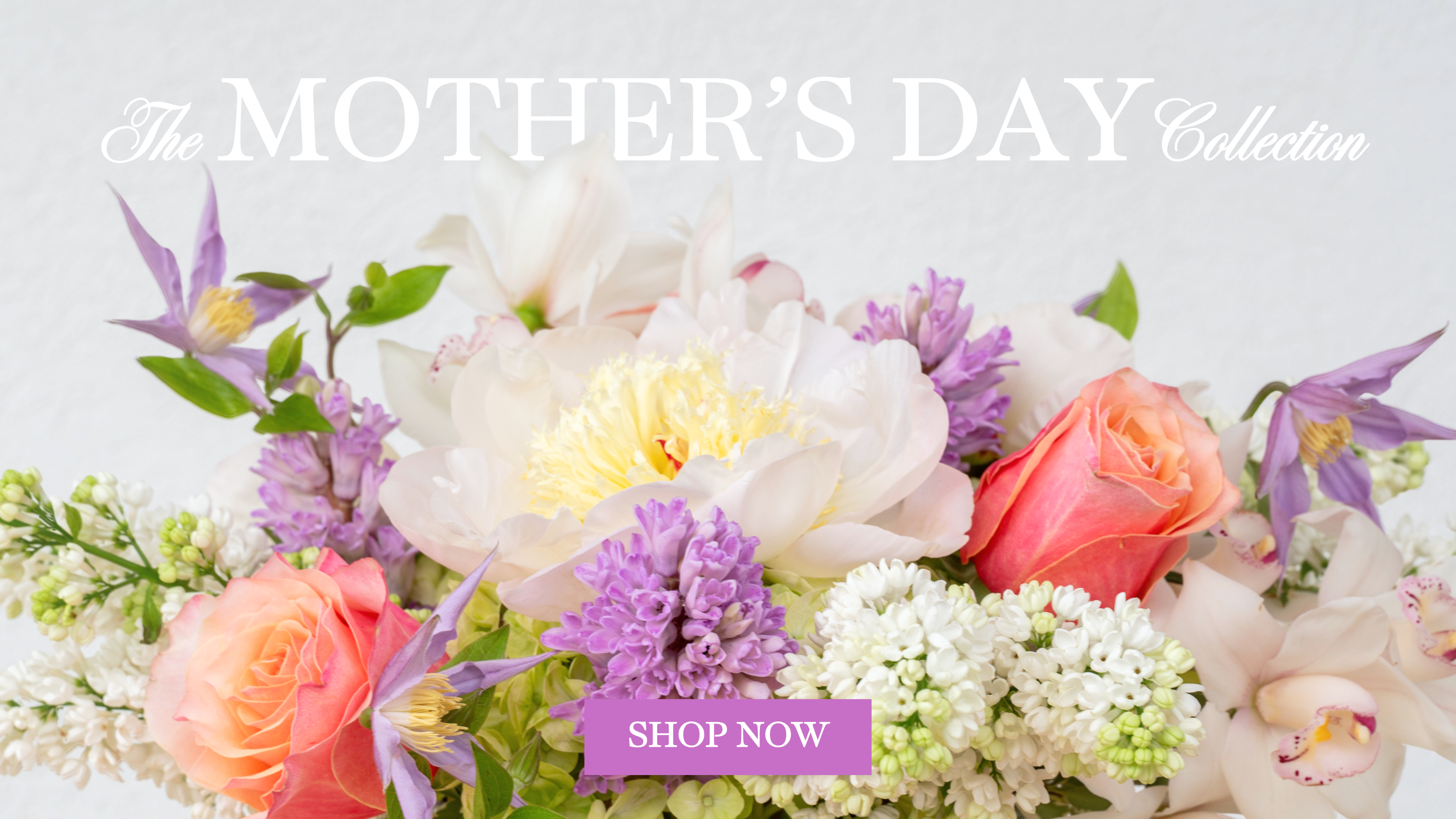 mother_s_day_collection_desktop.png