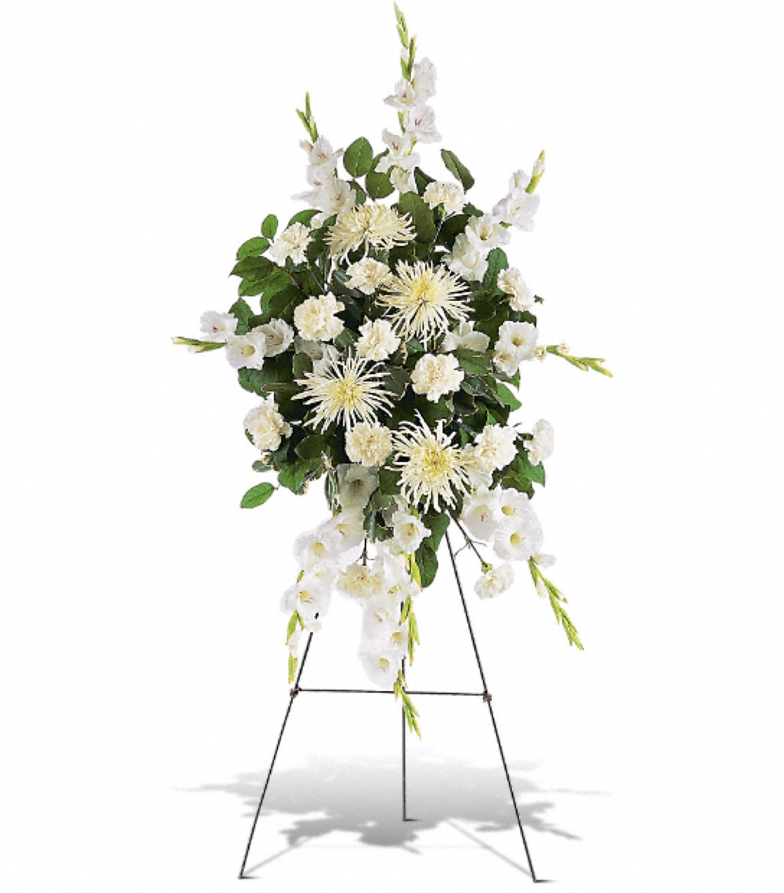 https://cdn.shopify.com/s/files/1/0016/7100/4263/files/whitepromises.jpg?v=1730398050