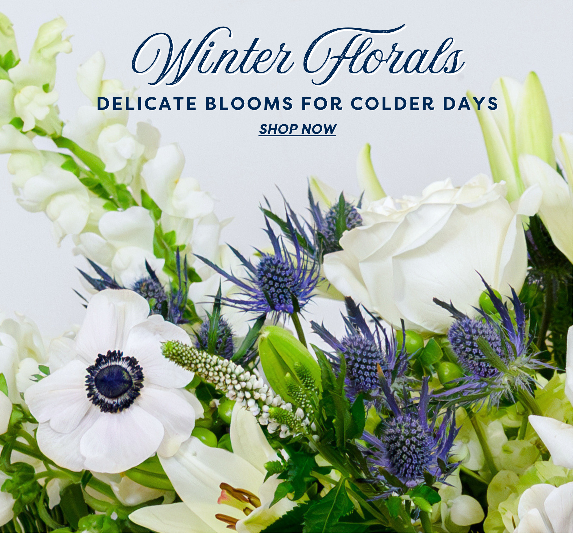 winter_florals_2025_mobile_banner.png
