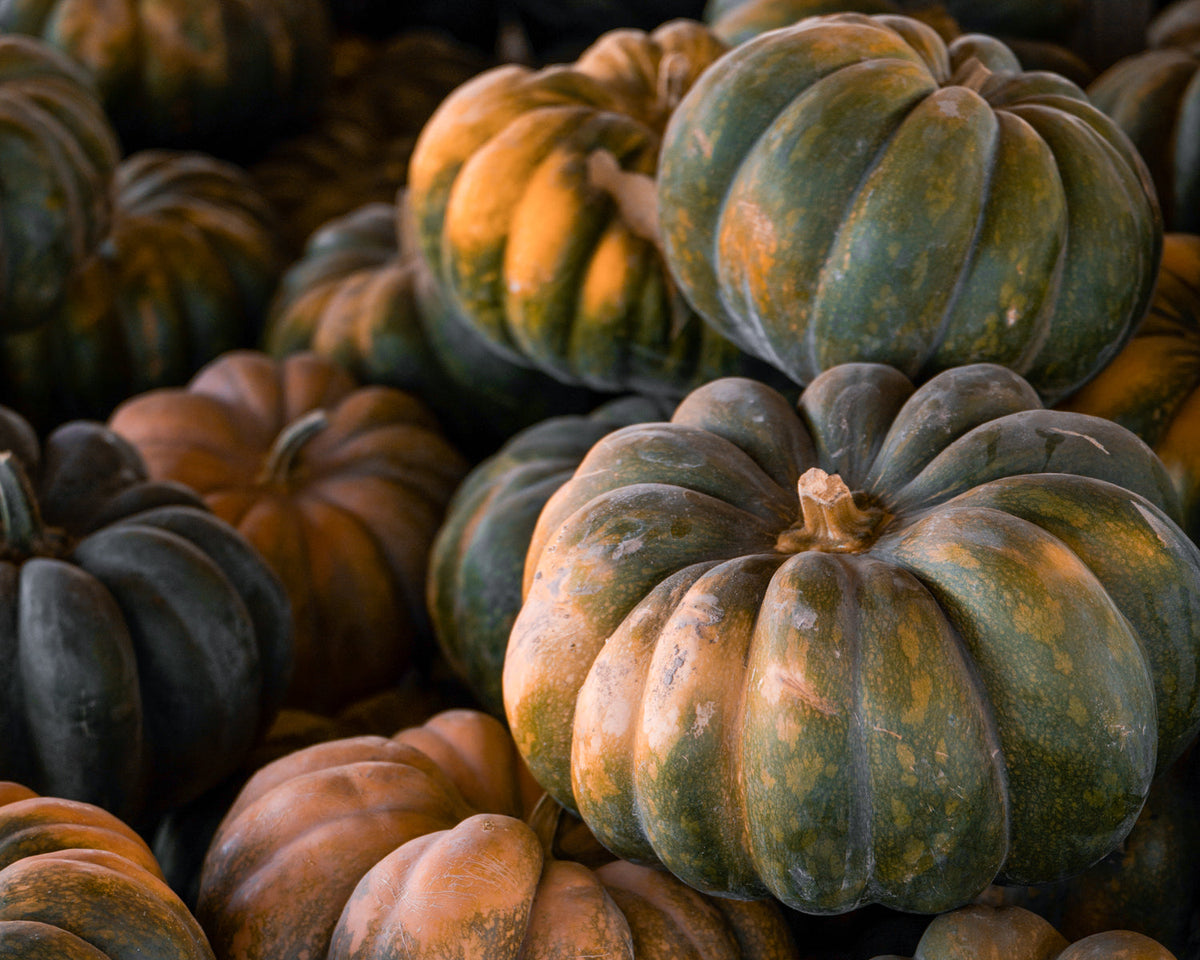 The Art of Lasting Autumn Curb Appeal