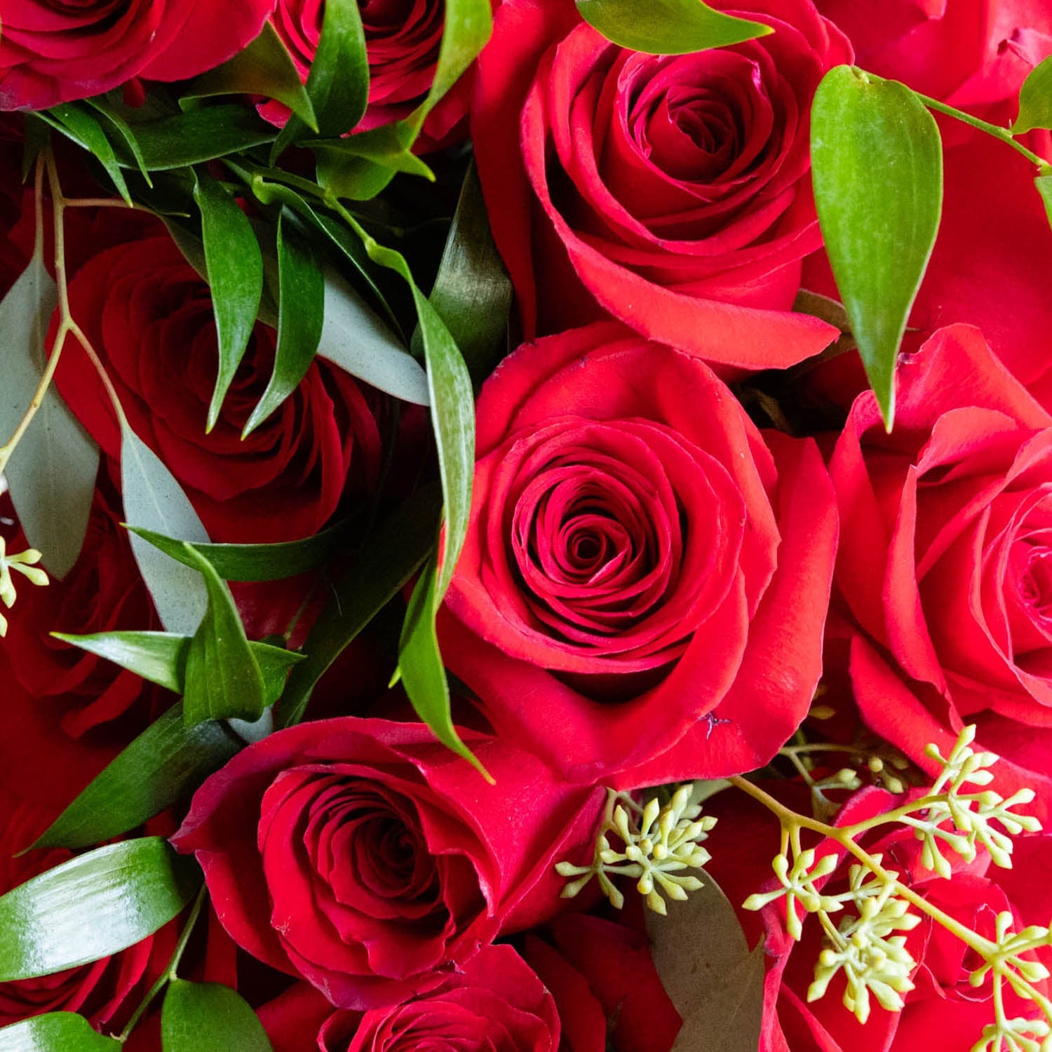 Eternal Love