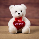 Valentine's Day Bear Plush