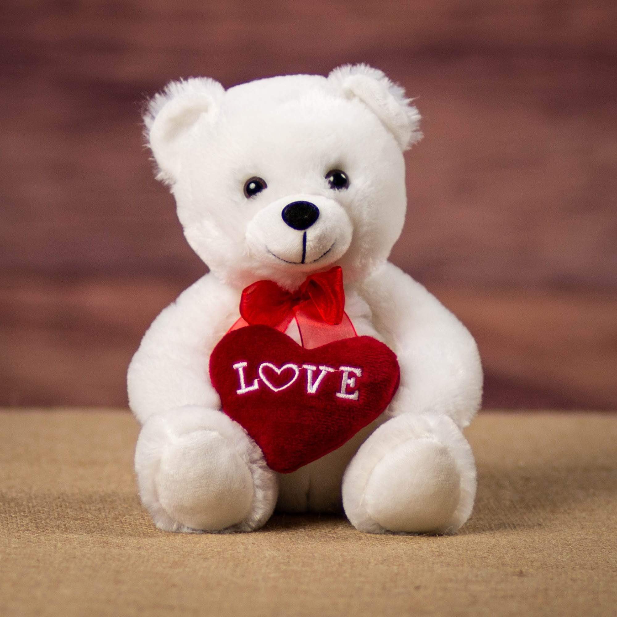 Valentine's Day Bear Plush