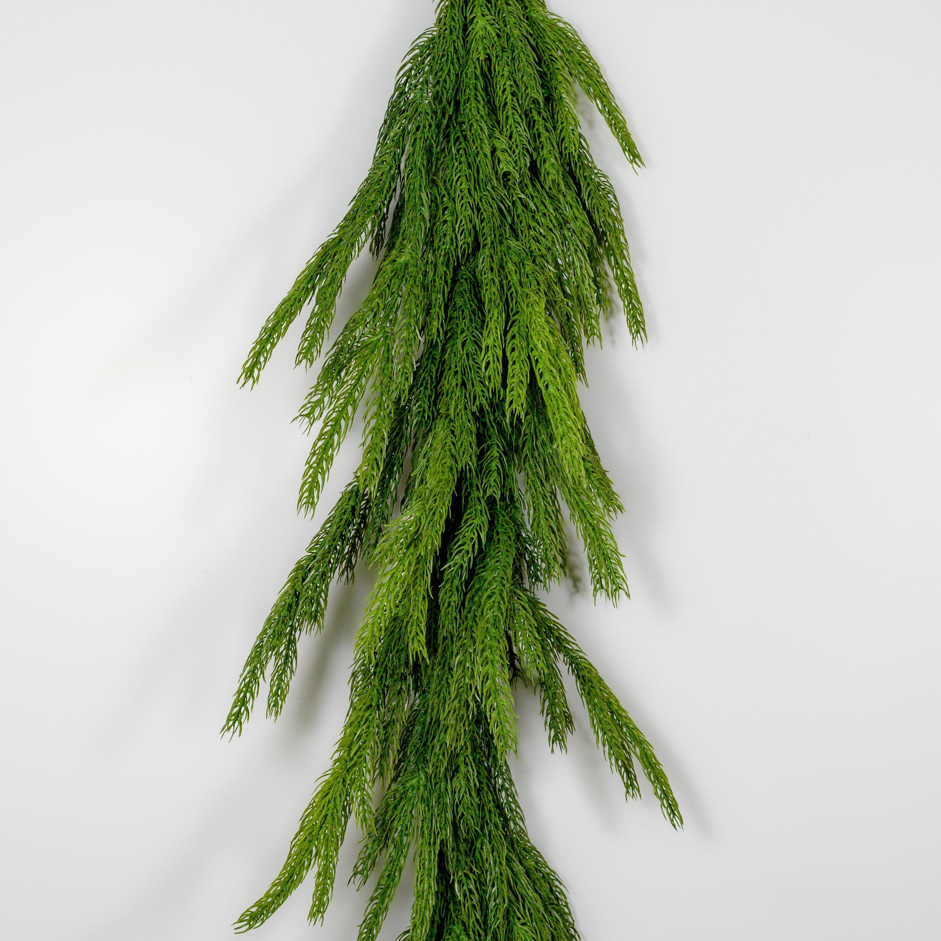 6' Lifelike Norfolk Pine Garland