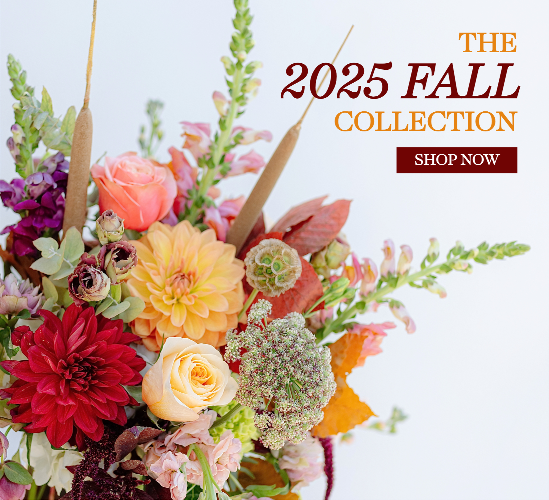 2025_Fall_Collection_1.png