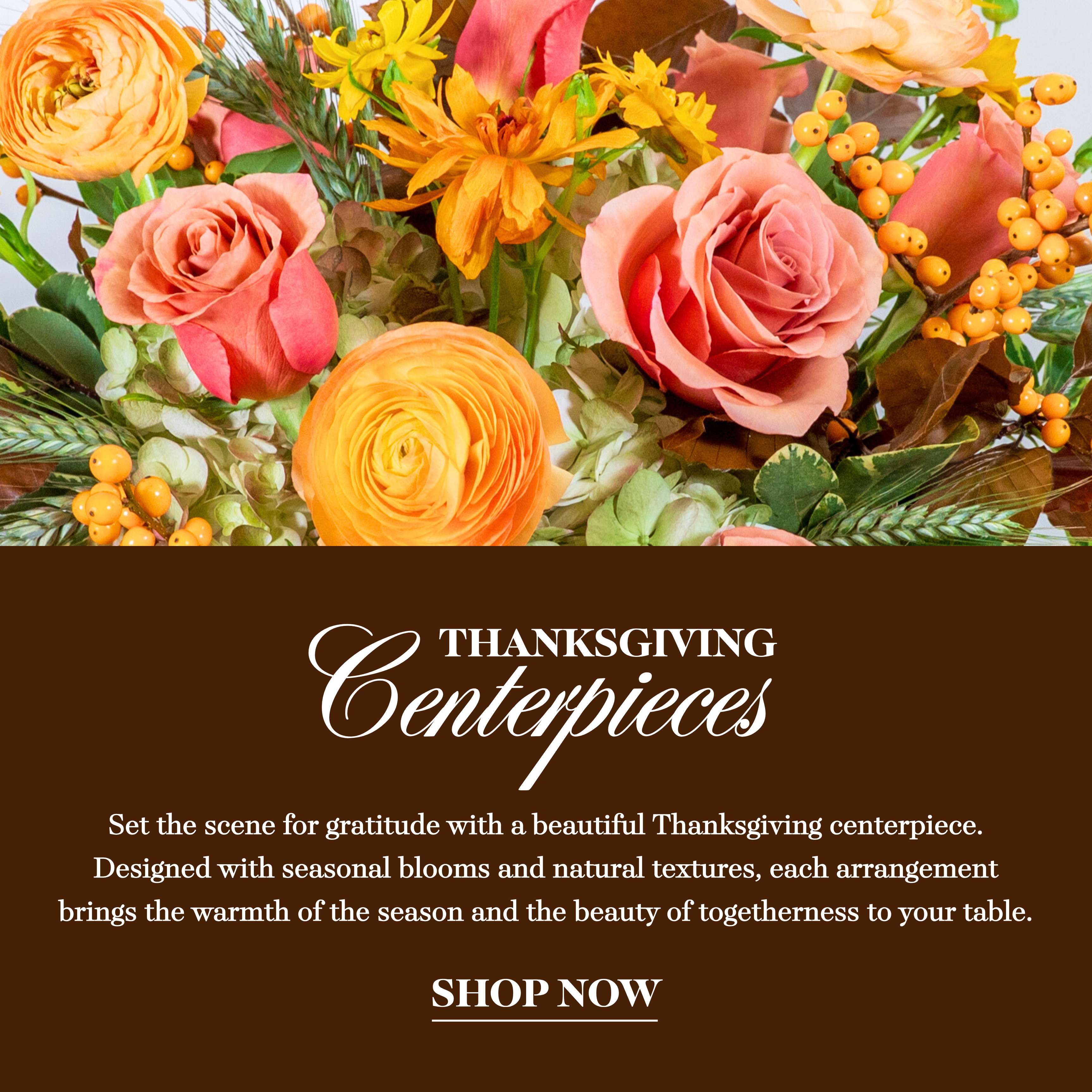 2025_Thanksgiving_Centerpieces_-_header_-_mobile.png