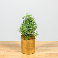 Lavender Christmas Tree 4"