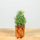 Lavender Christmas Tree 4"