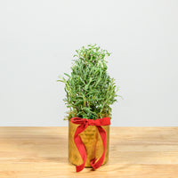 Lavender Christmas Tree 4"