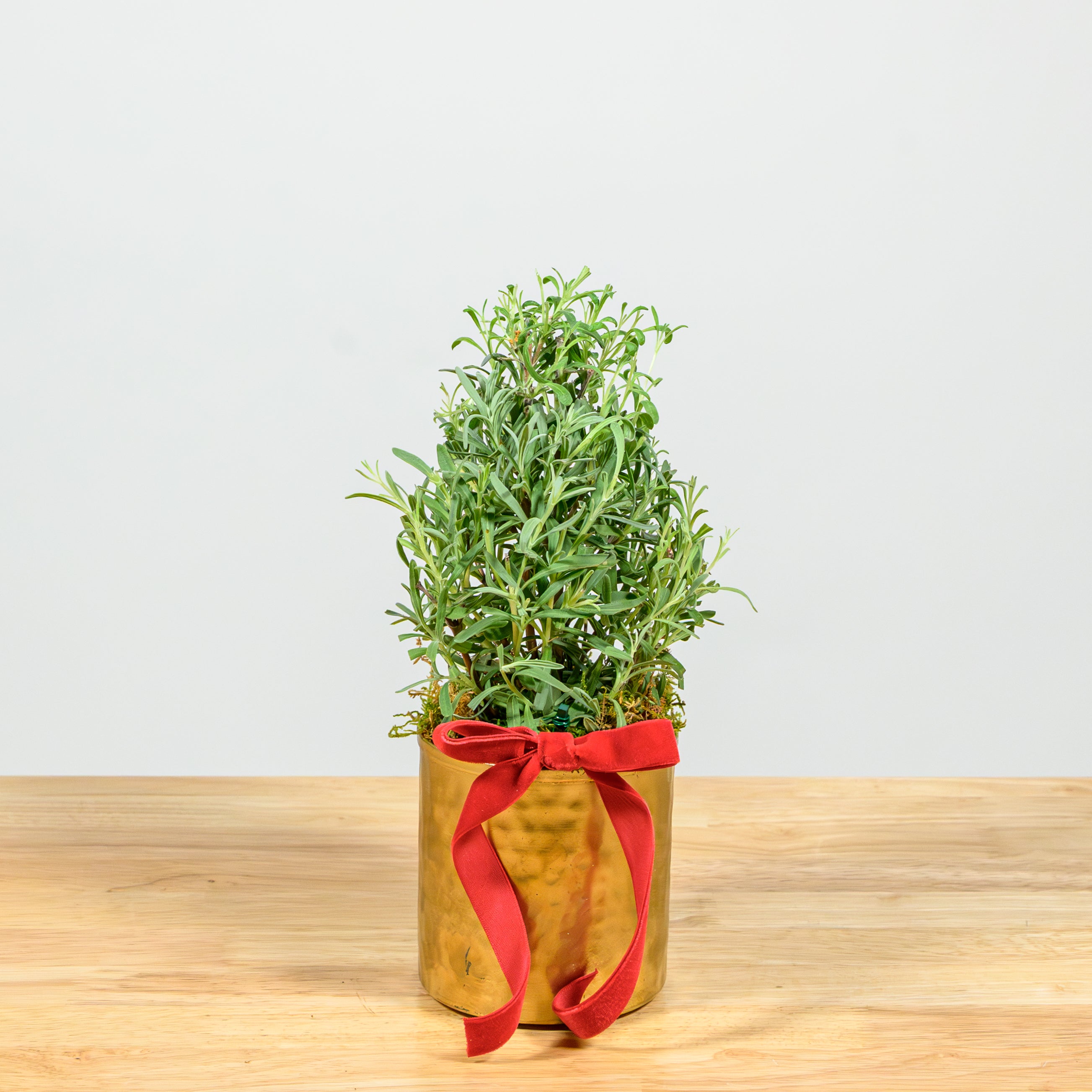 Lavender Christmas Tree 4"