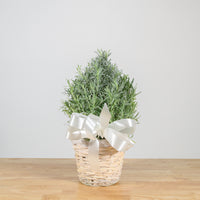 Lavender Christmas Tree 6"
