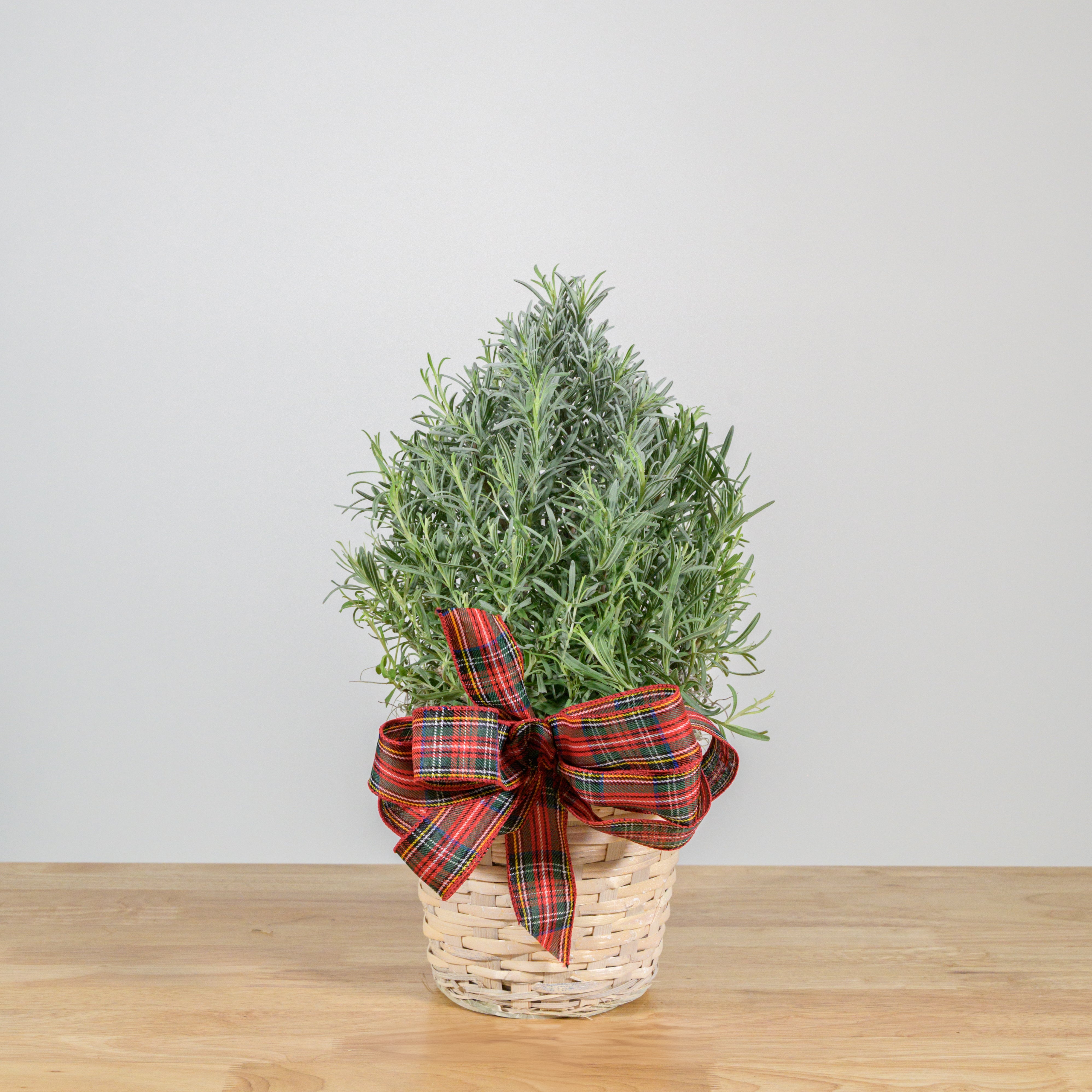 Lavender Christmas Tree 6"