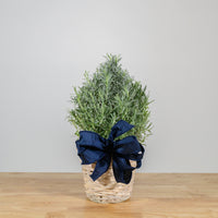 Lavender Christmas Tree 6"