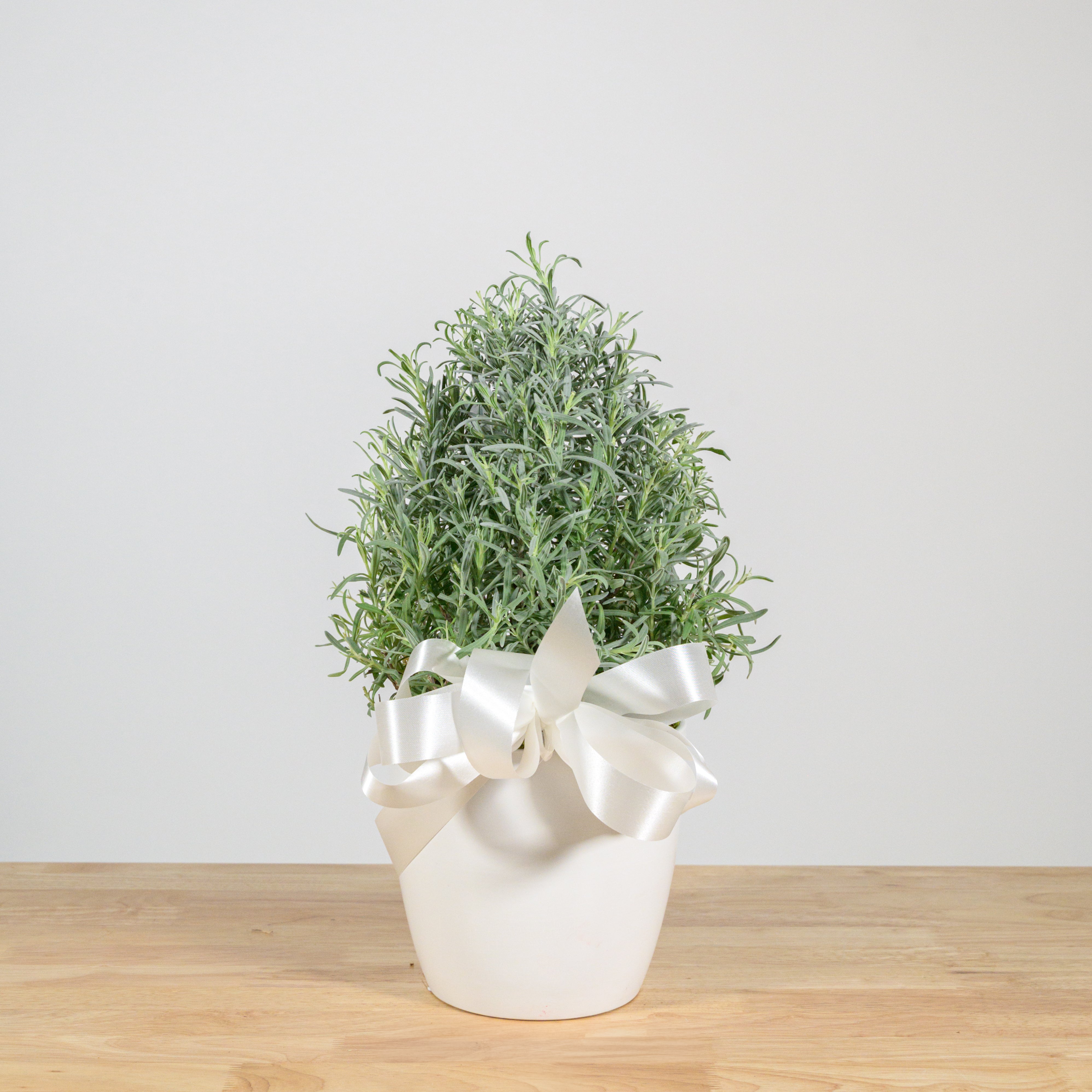 Lavender Christmas Tree 6"