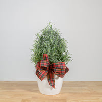 Lavender Christmas Tree 6"