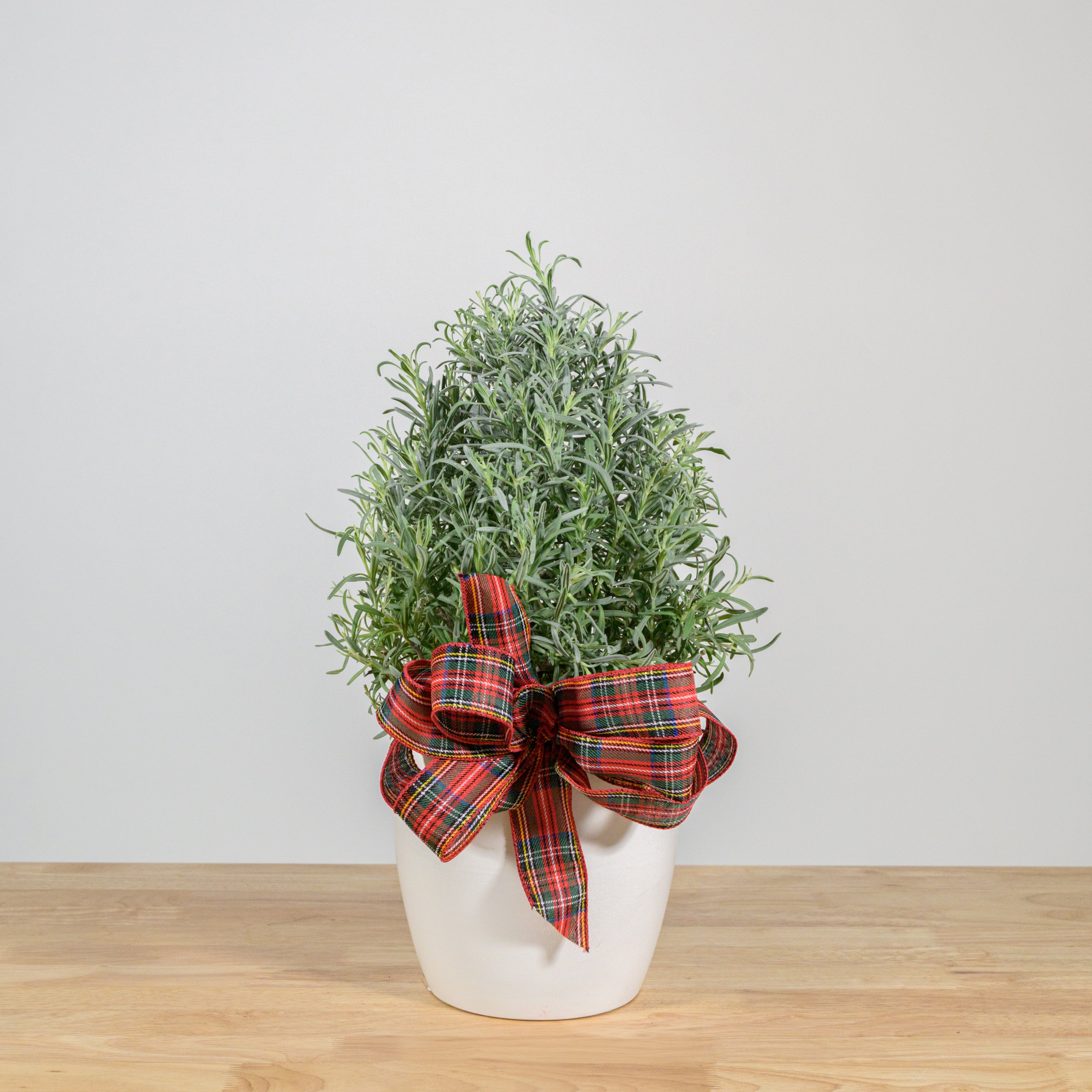 Lavender Christmas Tree 6"