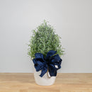 Lavender Christmas Tree 6"