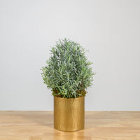 Lavender Christmas Tree 6"