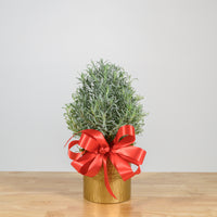 Lavender Christmas Tree 6"