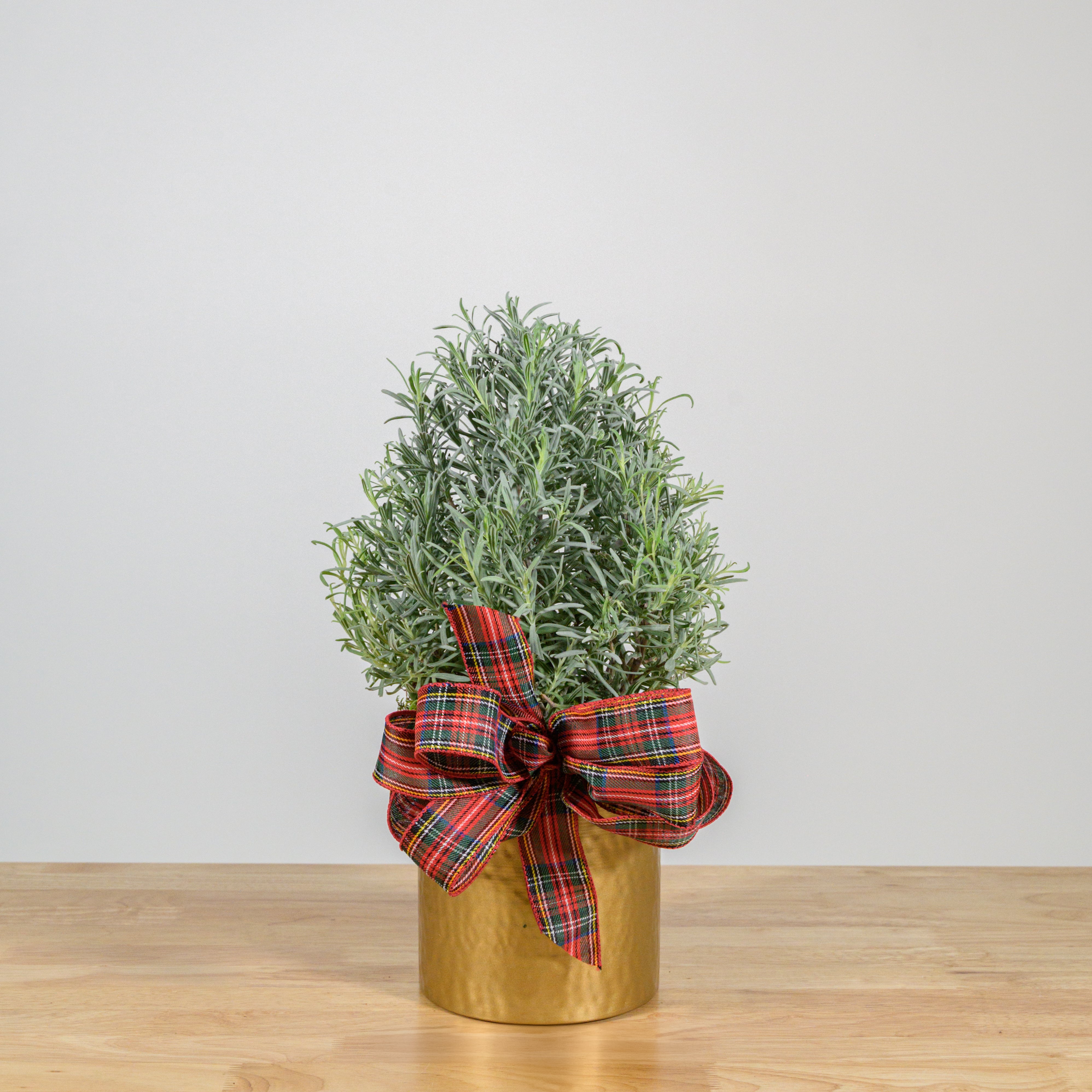 Lavender Christmas Tree 6"