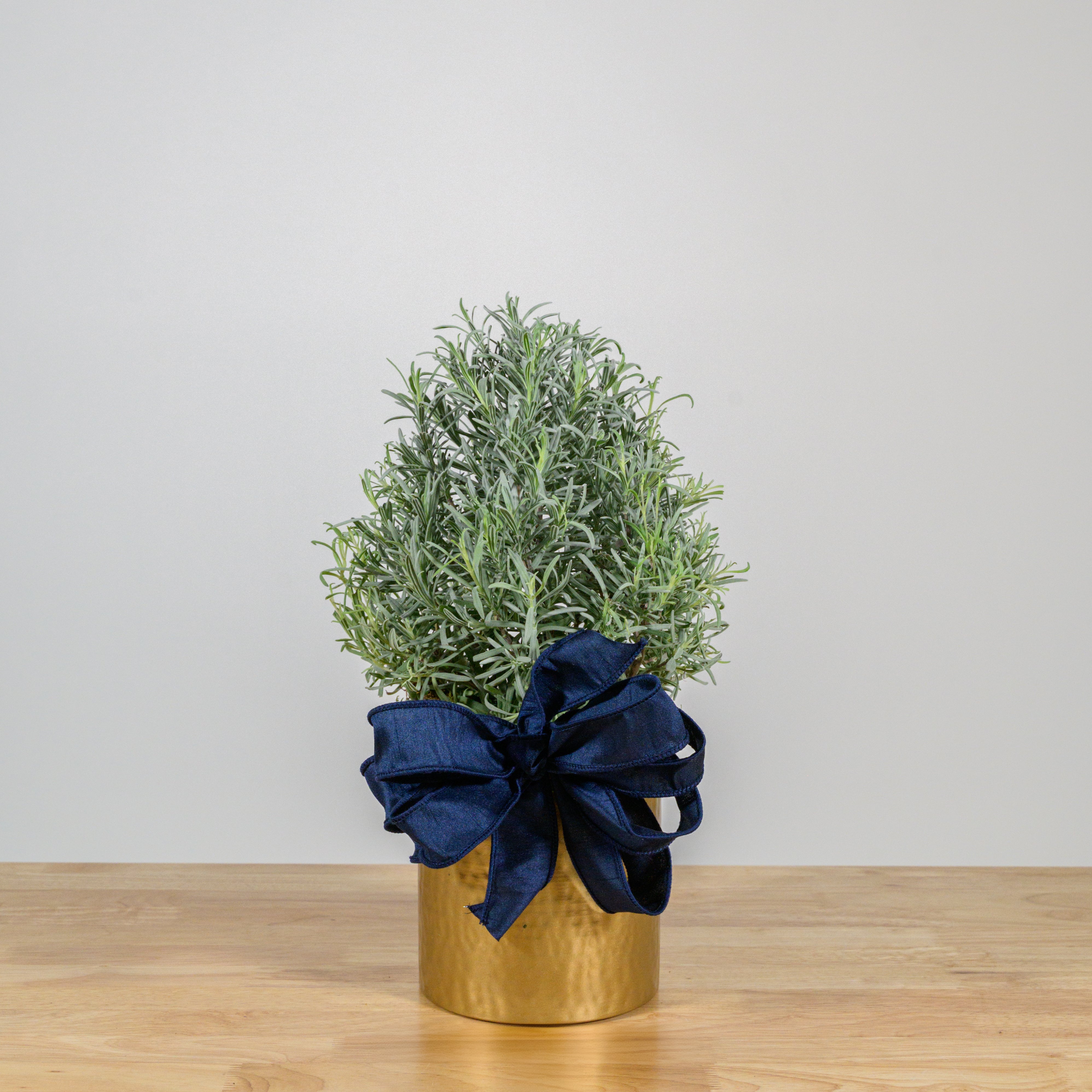 Lavender Christmas Tree 6"