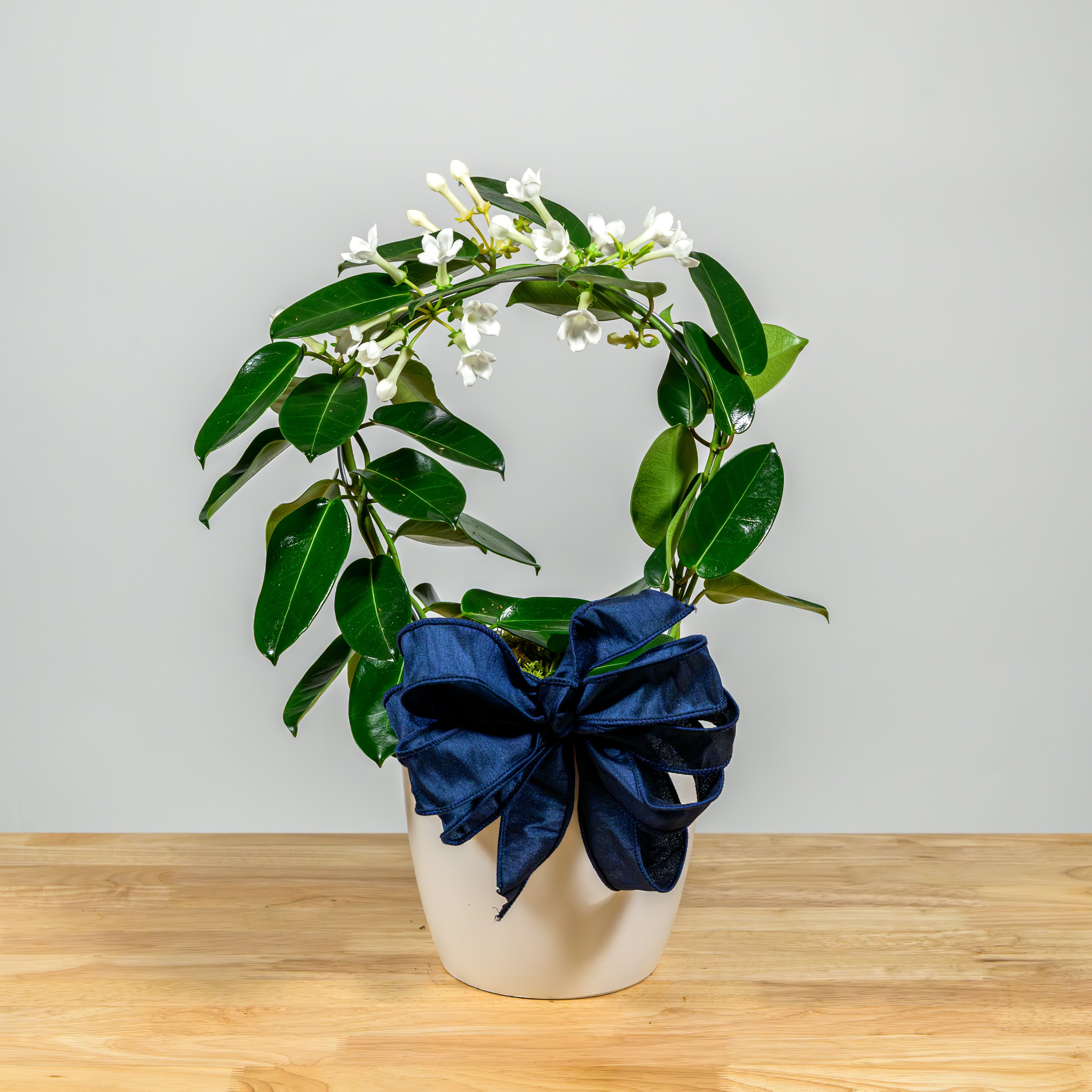 Stephanotis Hoop