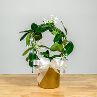 Stephanotis Hoop