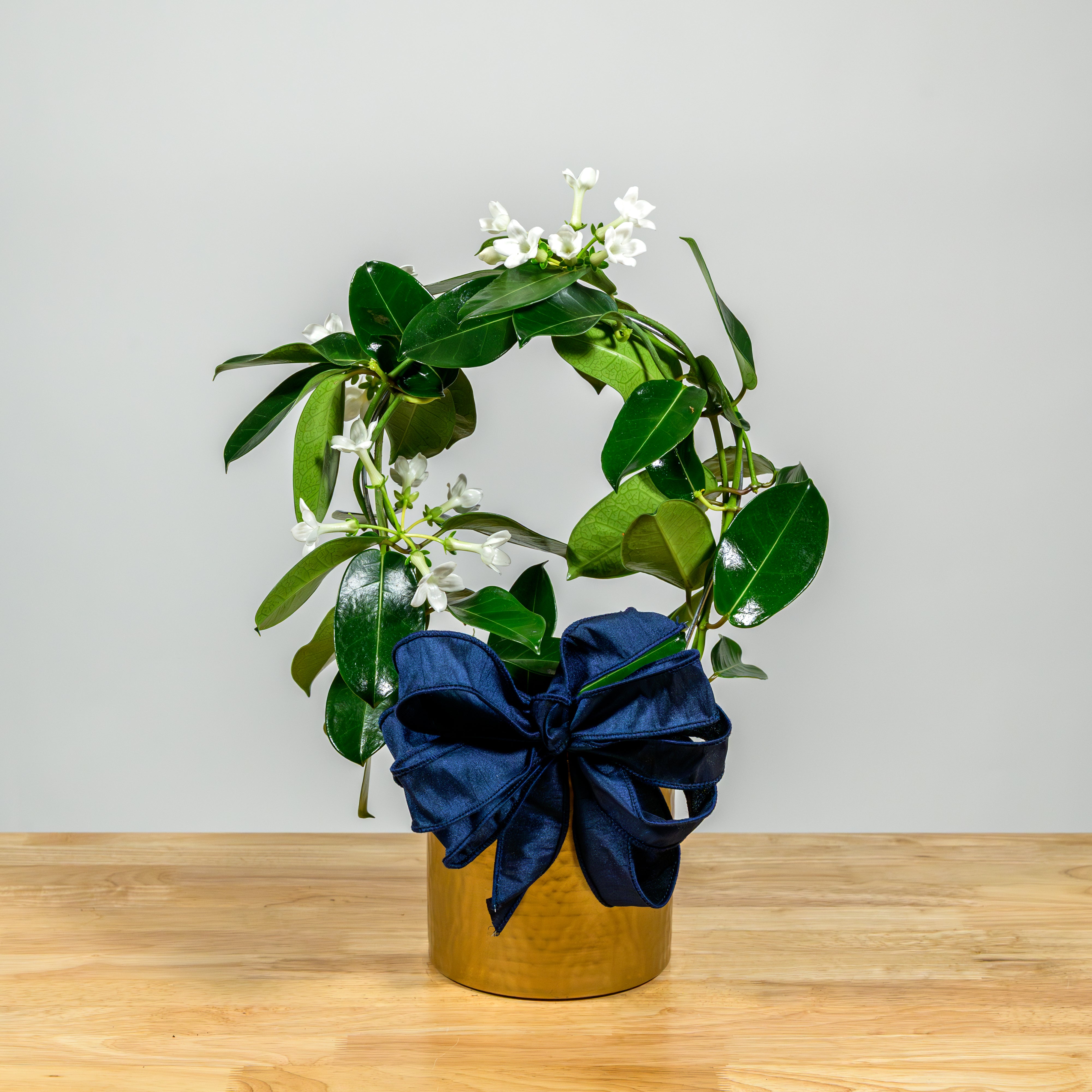 Stephanotis Hoop