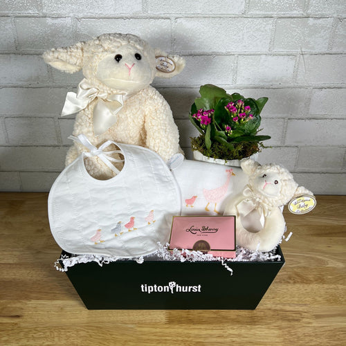 https://cdn.shopify.com/s/files/1/0016/7100/4263/files/9-1.jpg?v=1728423806