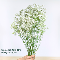 https://cdn.shopify.com/s/files/1/0016/7100/4263/files/Babys_Breath_f1a1eb82-50a8-4ea4-9912-6d79cf69f8e2.png?v=1738723301