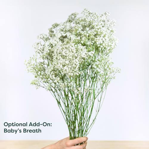 2 Dozen Classic Red Roses Arranged