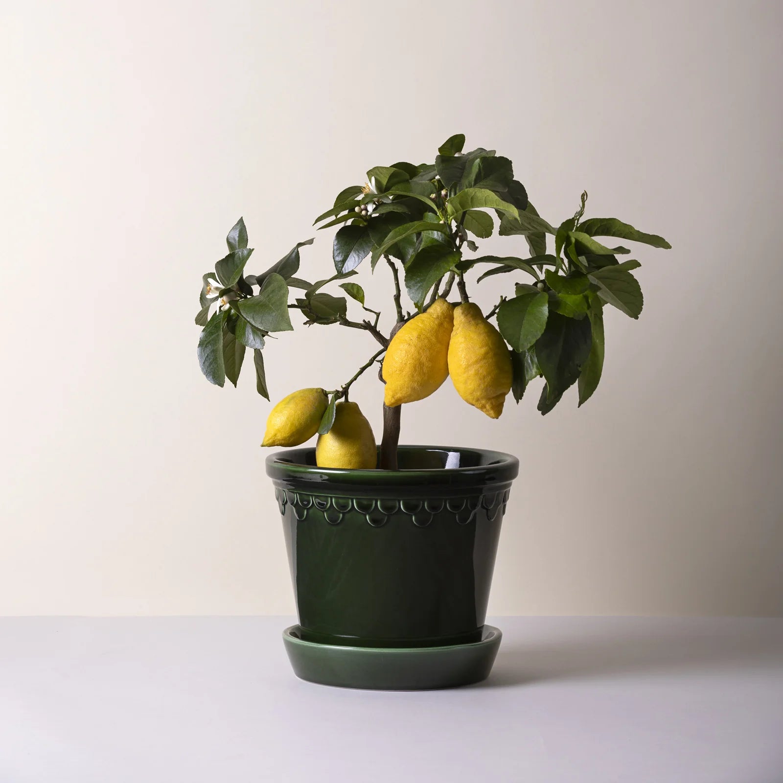 Kobenhavner Glazed Emerald Green Pot by Berg's Potter