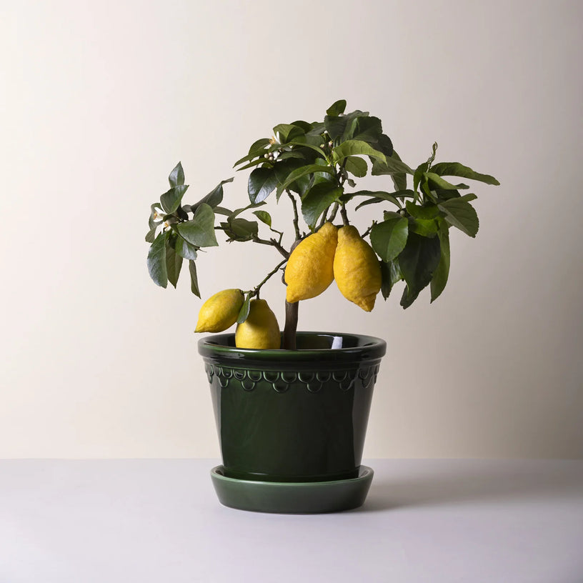 Kobenhavner Glazed Emerald Green Pot by Berg's Potter