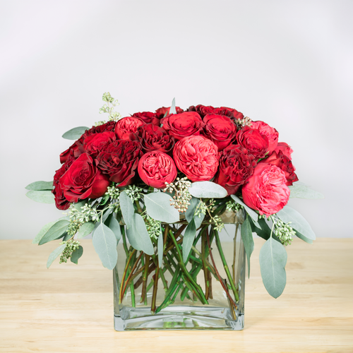 https://cdn.shopify.com/s/files/1/0016/7100/4263/files/COLLECTION_LoveAbundance.png?v=1737994378