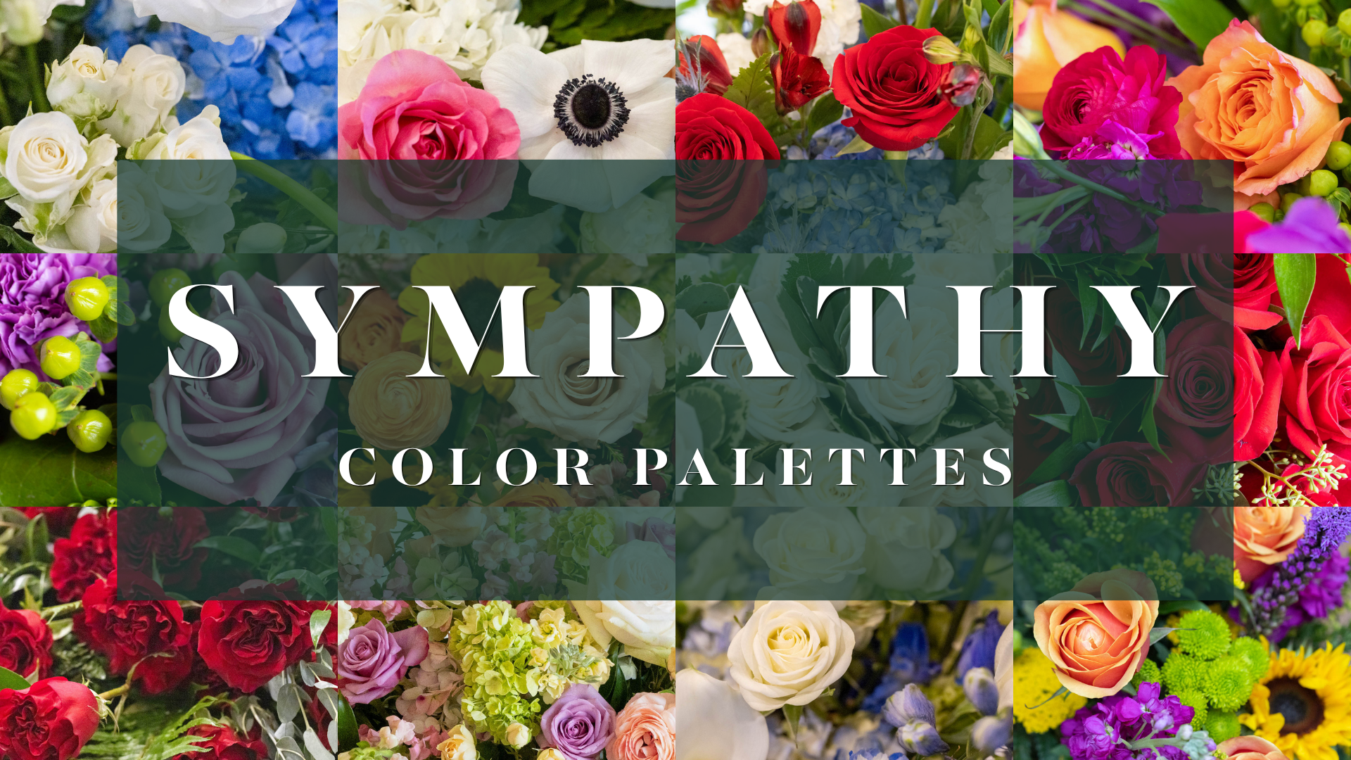 COLOR_PALETTES.png