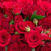 Designer's Choice Arrangement - Reds