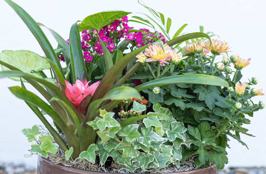 Fall European Garden Basket