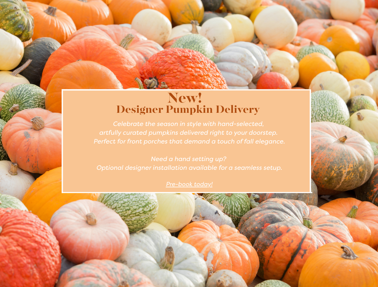 Desinger_Pumpkin_Delivery_Banner_1294_x_982_px_3.png