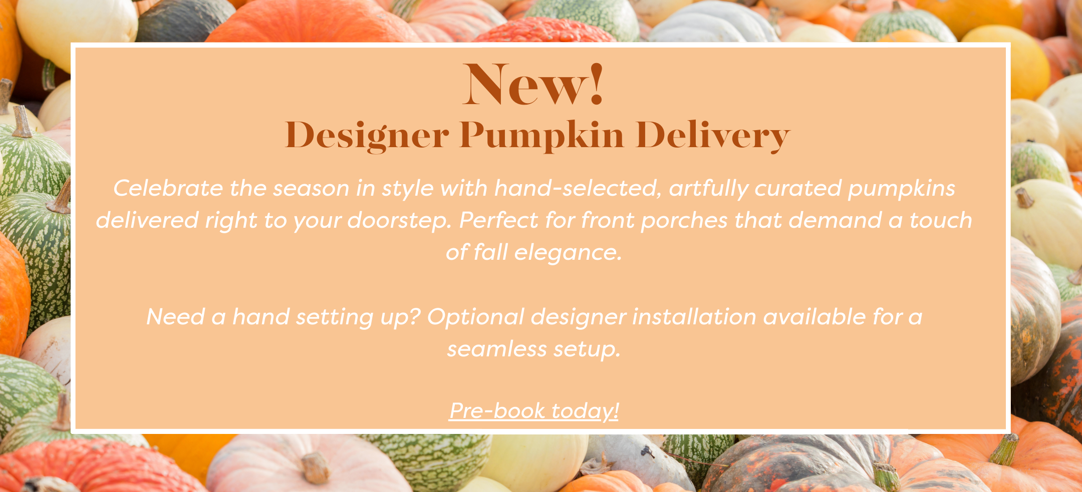 Desinger_Pumpkin_Delivery_Banner_3.png