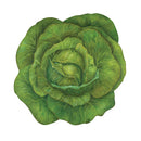 Hester & Cook Paper Placemats