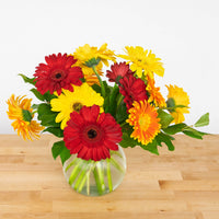 Dizzy Daisy