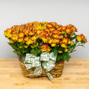 Double Mum Basket