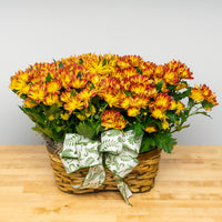 Double Mum Basket
