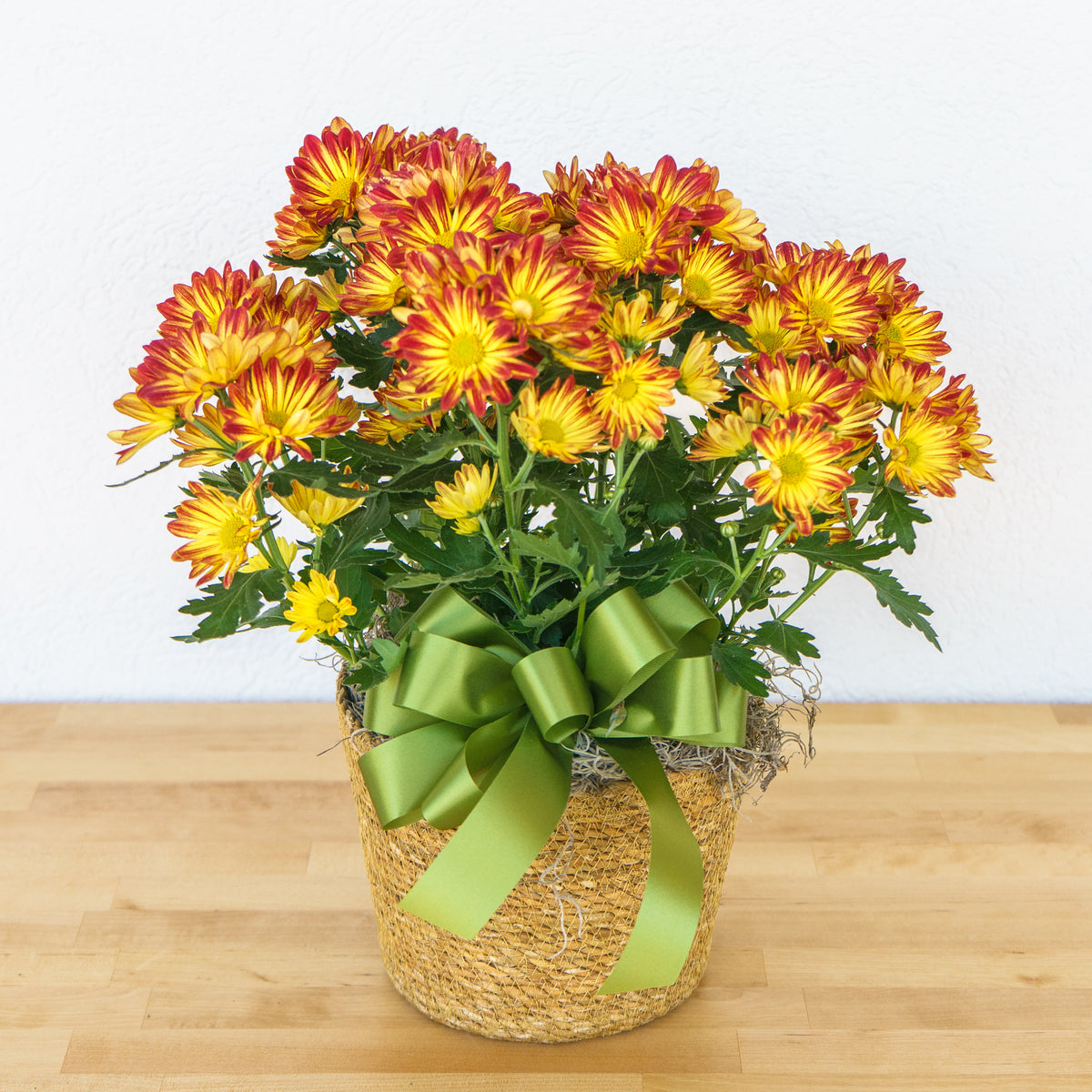 Mum 6"
