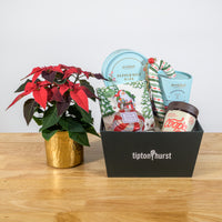 Mint for You Basket