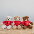 Valentine's Day Bear Plush