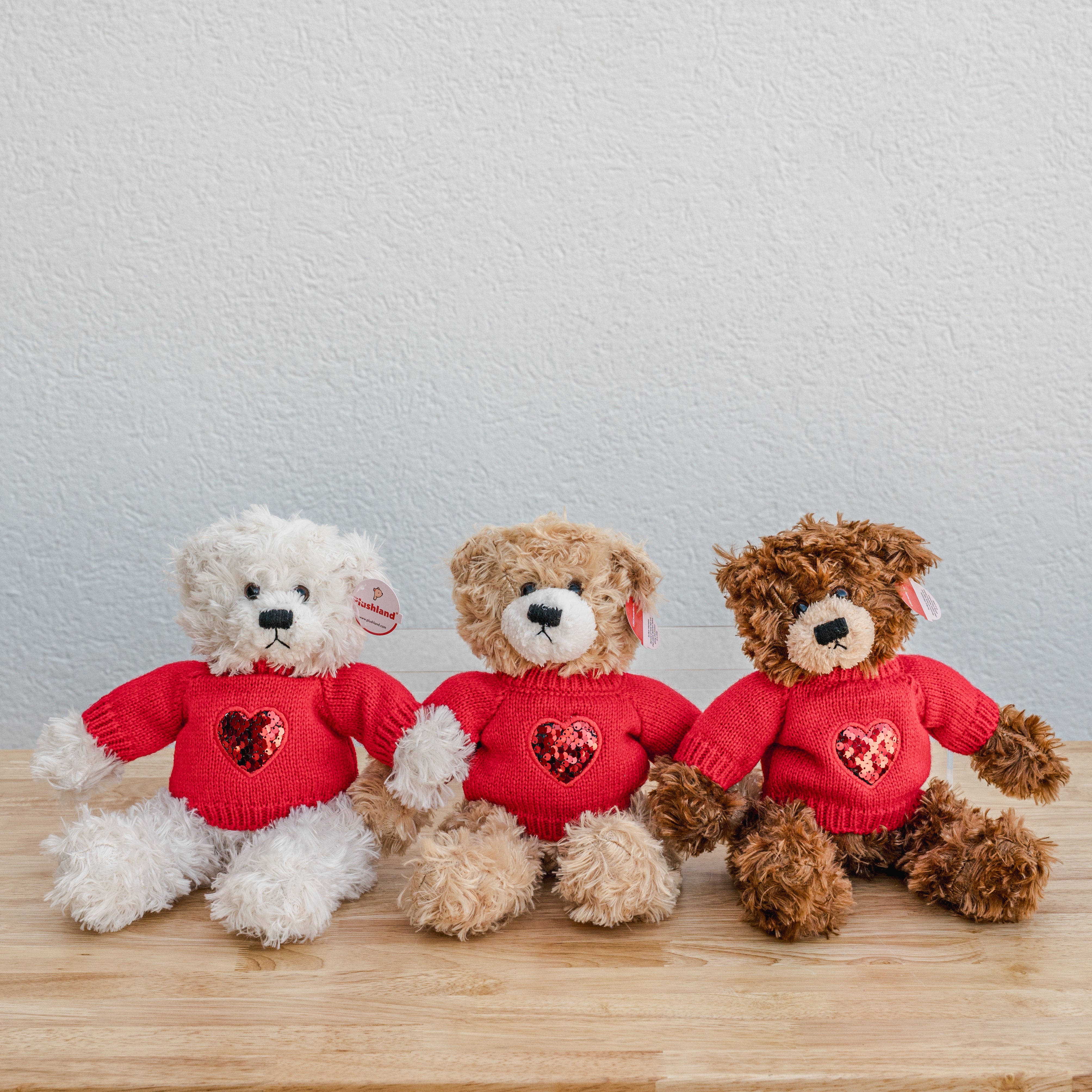 Valentine's Day Bear Plush