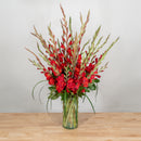 Glorious Gladiolus