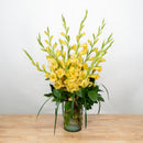 Glorious Gladiolus